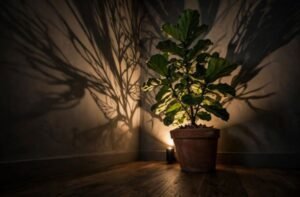 Canister Uplights Behind Large Foliage
