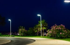 How to Plan a Landscape Lighting Layout for a Stunning Yard