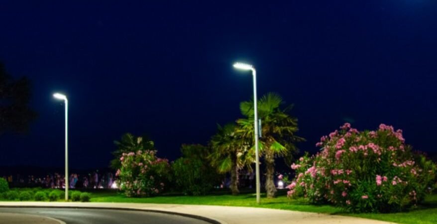 How to Plan a Landscape Lighting Layout for a Stunning Yard