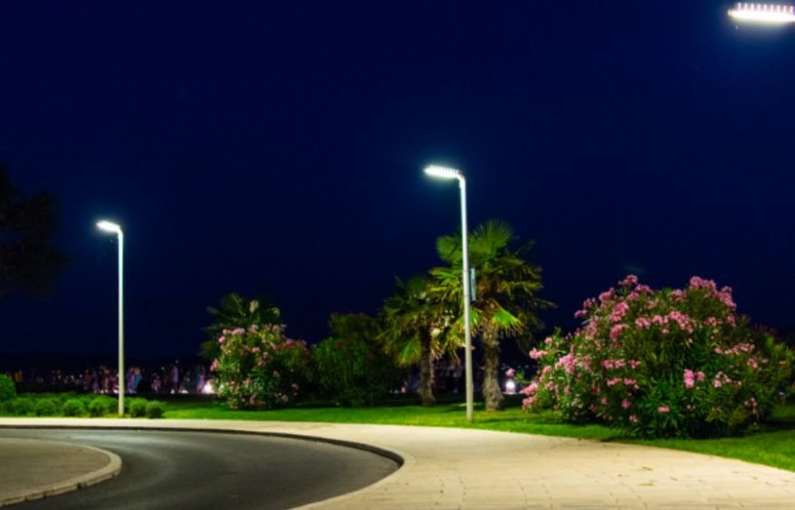 How to Plan a Landscape Lighting Layout for a Stunning Yard